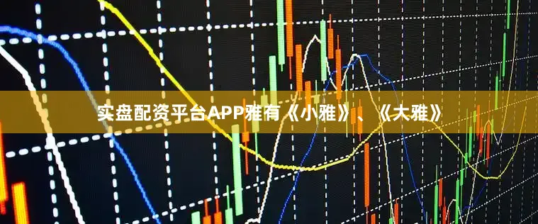 实盘配资平台APP雅有《小雅》、《大雅》