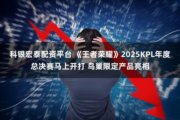 科银宏泰配资平台 《王者荣耀》2025KPL年度总决赛马上开打 鸟巢限定产品亮相